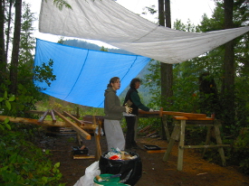 staining