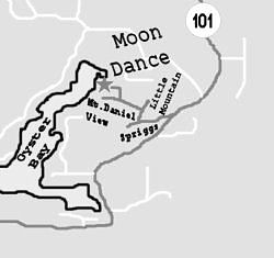 Fine detail map