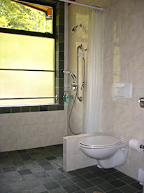 Roll-in shower